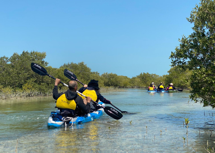 Discover the Mangroves of Qatar