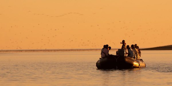 Le Champlain ship - Whale shark cruise in Qatar