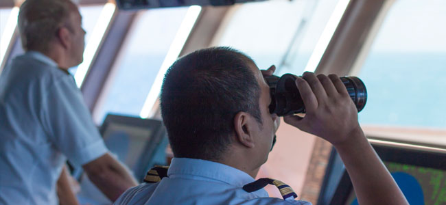 Captain of Whale Shark Cruise in Qatar